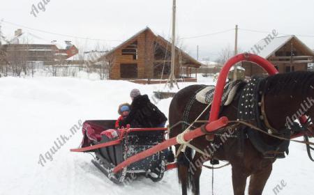 Катания на лошадях