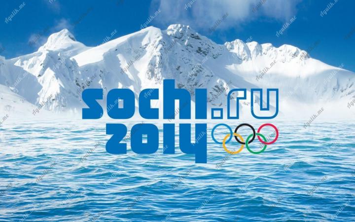 Олимпиада 2014